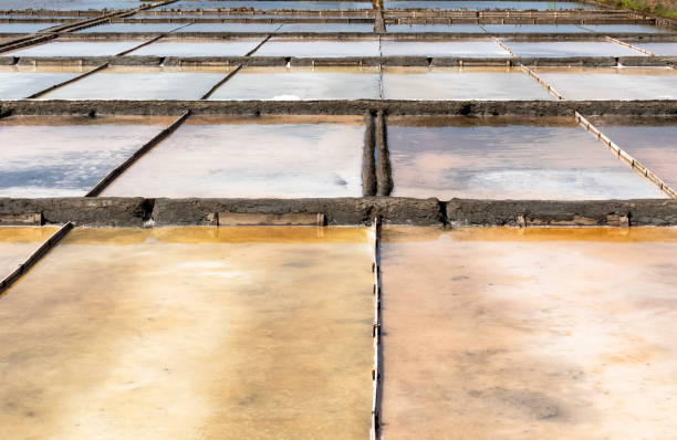 istock Marine salt extraction by salt water evaporation 1572359625