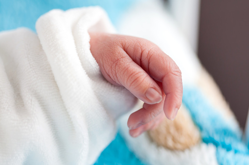 Close up of a newborn girl hand in the hospital on the day of her birth