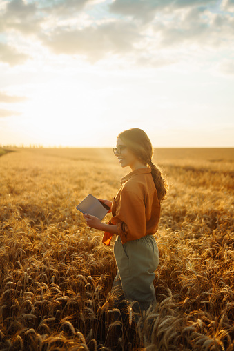 Young female farmer in her hands with a digital tablet in a wheat field checks the quality and growth of the crop on sunset light. Smart farm. Harvesting. Agricultural concept.