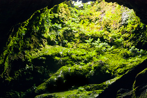 View from inside of Algar do Carvão cave, inside an extinct volcano,  in Terceira  island , Azores archipelago.