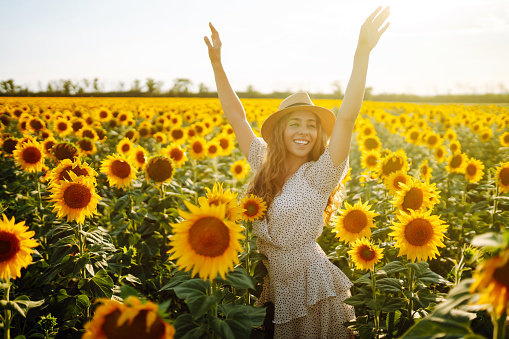 Sunny beautiful photo of young happy woman, enjoying warm weather, walking in blooming sunflower field. Woman poses in sunflower field in a dress and hat. Enjoy the moment. Active lifestyle.