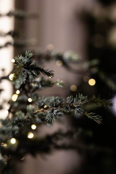istock Scandinavian Christmas street 1572403649