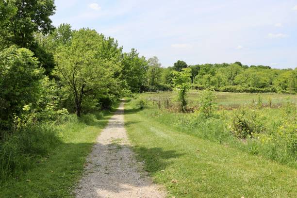 istock Path in the Country Field 1572429578
