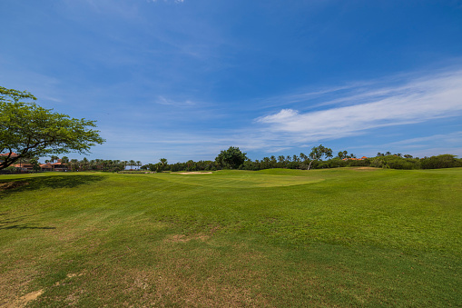 Aruba. Oranjestad. 07.26.2023. View of green grass golf field on background  blue sky on Aruba island.