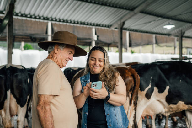 Father and daughter cattle ranchers using smartphone