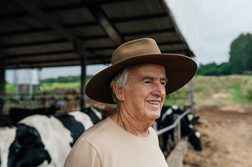 Portrait of a senior cattle rancher