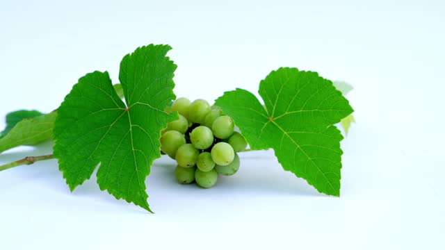 Fresh green grapes, Isolated on white background