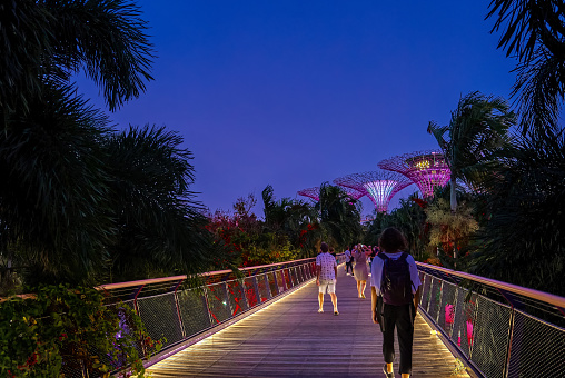 Singapore - Feb 25, 2020. Unrecognizable adult tourists walking down Dragonfly bridge towards iconic Supertrees for daily evening light-and-music show in Gardens by the Bay, Singapore. Tropical twilight, colorful Supertree canopies. lit-up bridge. Underexposed, low-light.