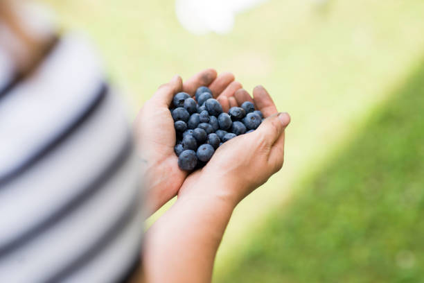 istock Blueberries Have My Heart 1572502495