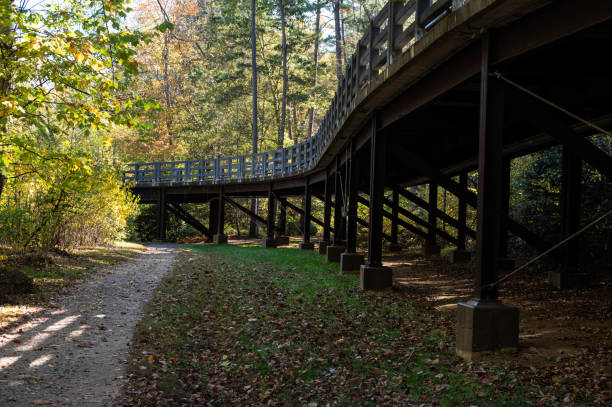 istock Elevated Roadway in the Autumn Woods 1572503033