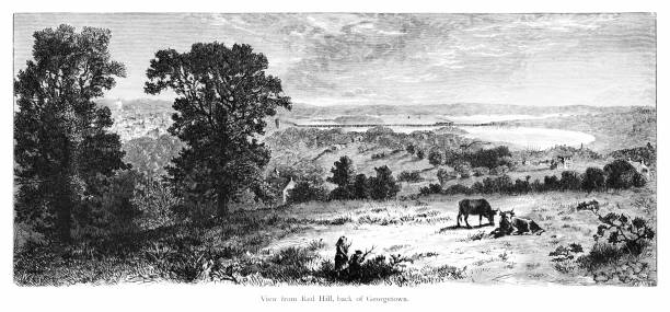 A distant view of Georgetown, Washington DC,  from Red Hill in Virginia, USA. Sepia-toned steel and wood engravings, published 1874. This edition edited by William Cullen Bryant is in my private collection. Copyright is in public domain.