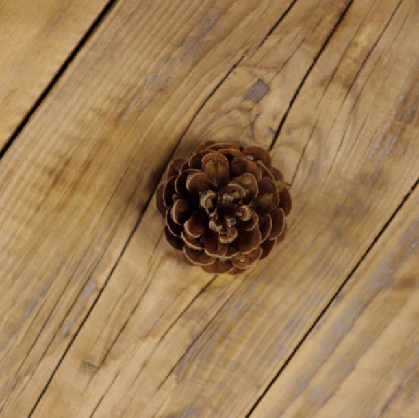 istock Close-up of a pine cone on a wooden board. 1572517748