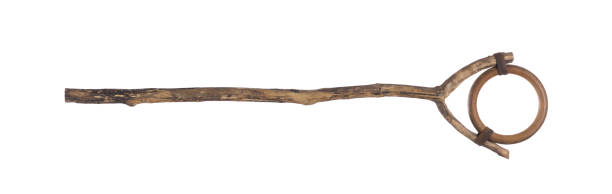 istock magic wooden staff isolated on white background 1572529017