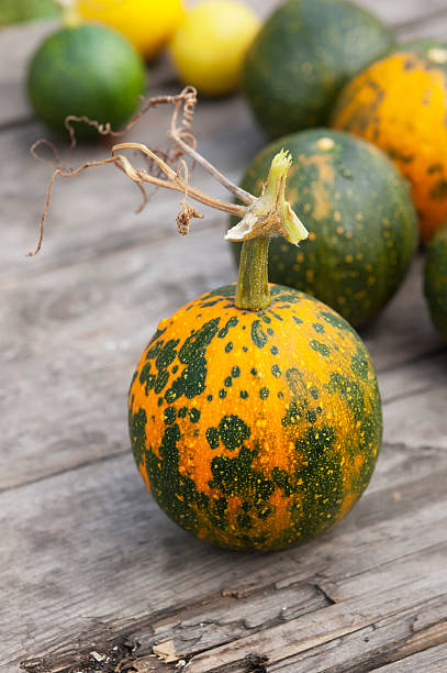 istock little pumpkins at wooden table 157254656