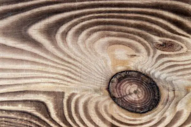 Photo of Pine board with a knot and a well-defined structure and texture of wood.