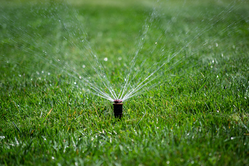 water sprinkler on green grass background