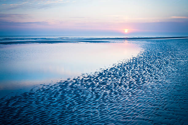 istock Idyllic Dawn On The Beach, Netherlands 157256890