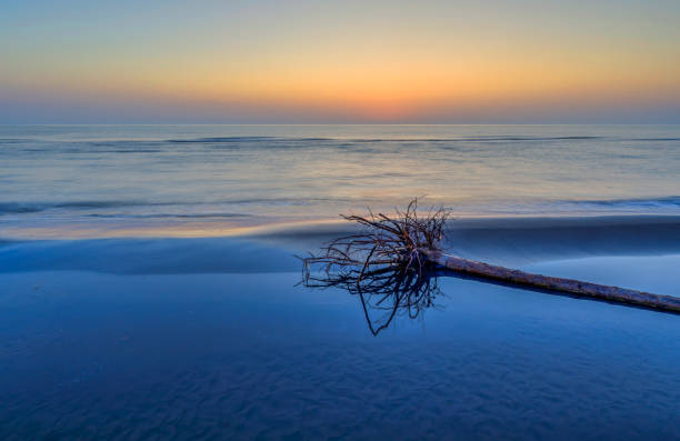 Coast of the Caspian Sea at sunrise