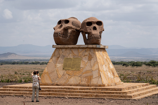 Tanzania, Africa - March 12, 2023: Statue at the Olduvai Gorge Museum (Ngorongoro Conservation Area). Human Skulls of Paranthropus and Homo Habilis