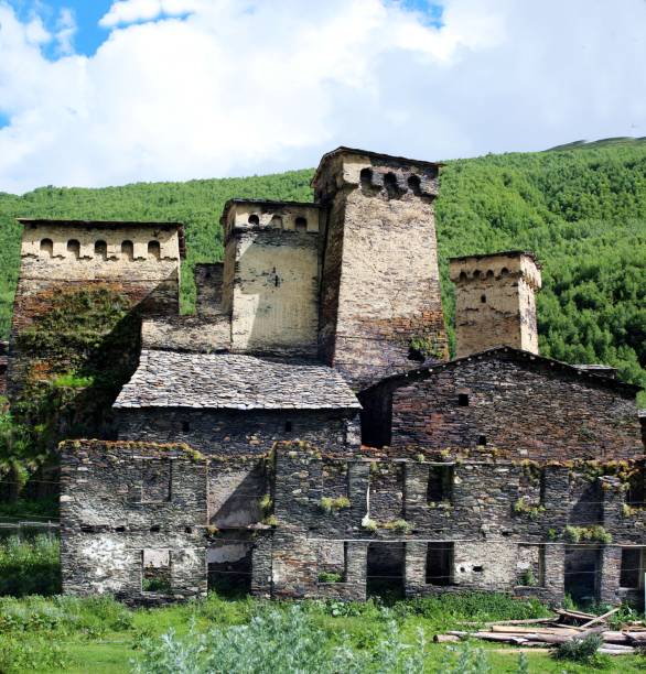 istock Swan towers in Ushguli 1572576931