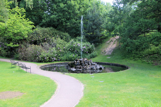 istock A view of a park 1572577266