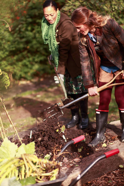 istock Female friends gardening 1572587007