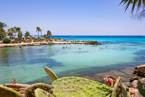 Adams hotel beach with cacti in the foreground in Ayia Napa, Cyprus