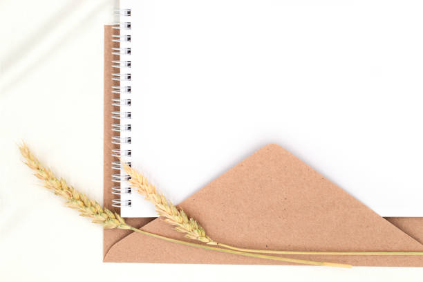 istock Delicate office mockup white notepad on an envelope with sprig of wheat spikelet, with copy space, top view, flat lay 1572632700