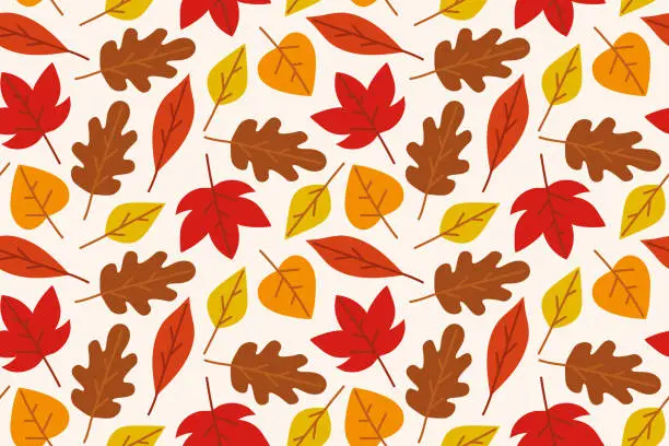Vector illustration of seamless pattern with autumn colorful leaves