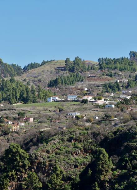 istock Punta Gorda on La Palma 1572644823