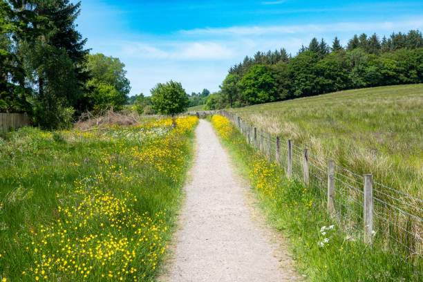 istock West Highland Way - Scenic Trail 1572653533