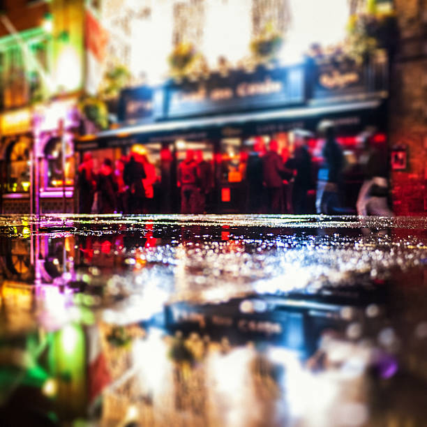 Manhattan tourist horse standing in the rain at night overlooking 6th avenue by Central Park, New York City