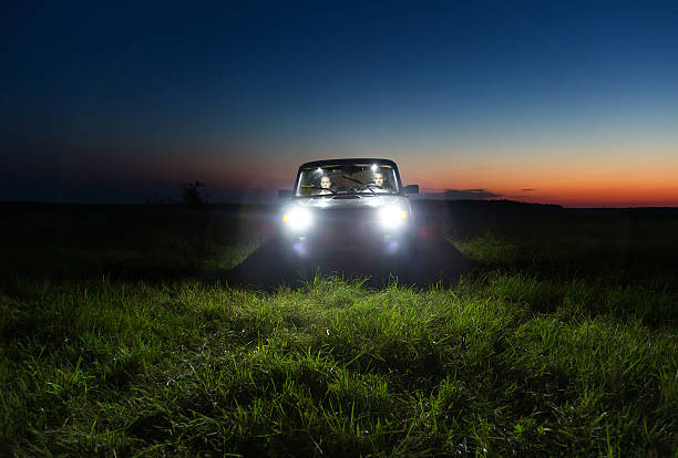 istock Young couple in a car 157266988