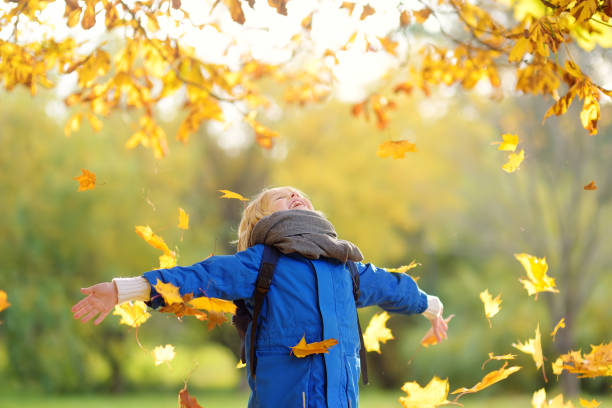 Little boy having fun during stroll in the forest at sunny autumn day. Child playing maple leaves. Baby tossing the leaves up. Active family time on nature. Hiking with little kids. Dry leaves rustle. niño pequeño divirtiéndose durante el paseo por el bosque en el soleado día de otoño. niño jugando hojas de arce. bebé tirando las hojas hacia arriba. tiempo familiar activo en la naturaleza. senderismo con niños pequeños. las hojas crujen.