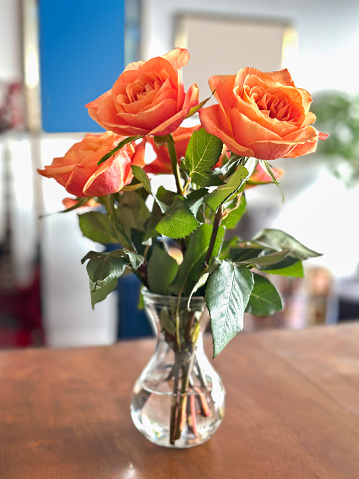 Orange roses on a wooden table in a house