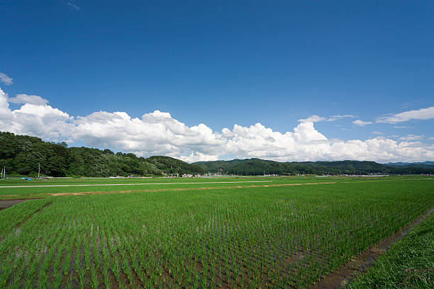 Paysage Rural - Photo