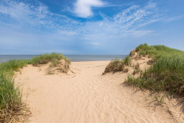 istock st peters lighthouse beach in Prince Edward island 1572700822