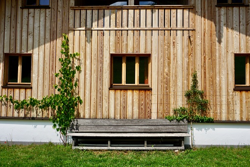 A new wooden house with a bench and grapes. Grapes grow on the wall of a wooden house.