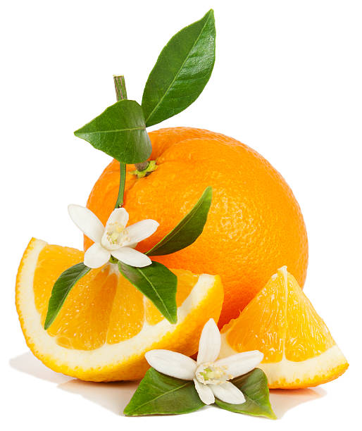 istock An orange and some slices with white flower garnishes 157271601