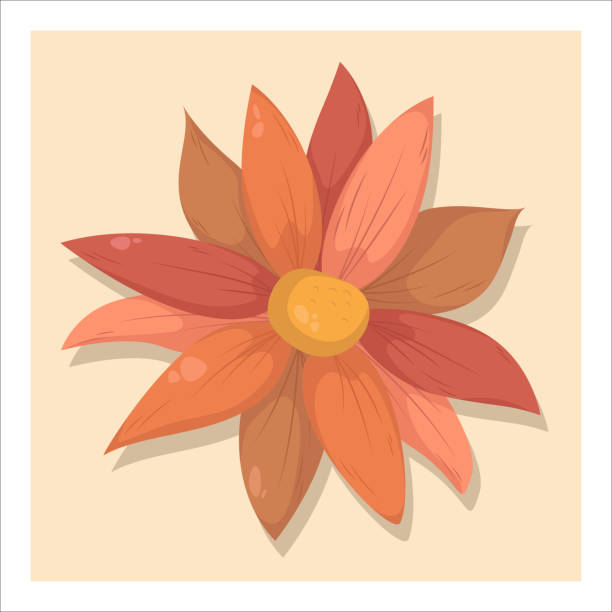 illustrazioni stock, clip art, cartoni animati e icone di tendenza di fiore autunnale, isolato su sfondo giallo. crisantemo colorato marrone arancio. - single flower chrysanthemum design plant