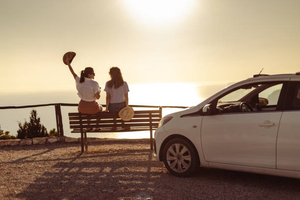 istock Road trip companions 1572732443