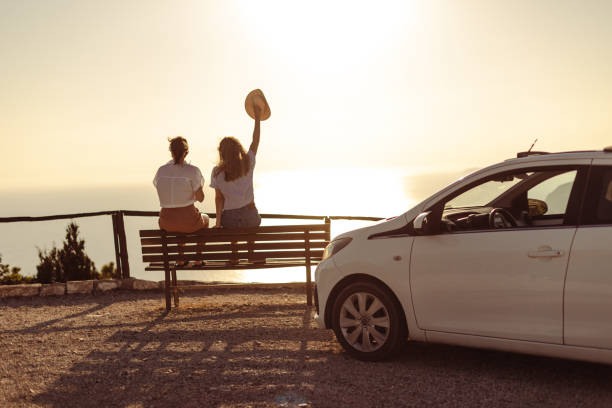 istock Road trip companions 1572732970
