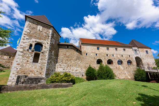 zamek w lublanie jest największym i najczęściej odwiedzanym zamkiem w stolicy słowenii. zamek w lublanie (słoweń: ljubljanski grad) - ljubljana flag slovenia scenics zdjęcia i obrazy z banku zdjęć