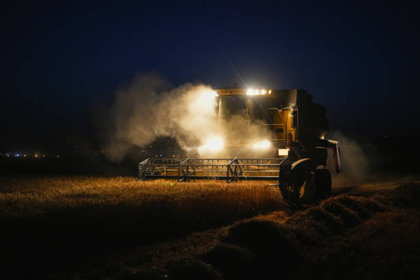 istock Combine harvester harvesting in a wheat field at night. threshing time 1572769576
