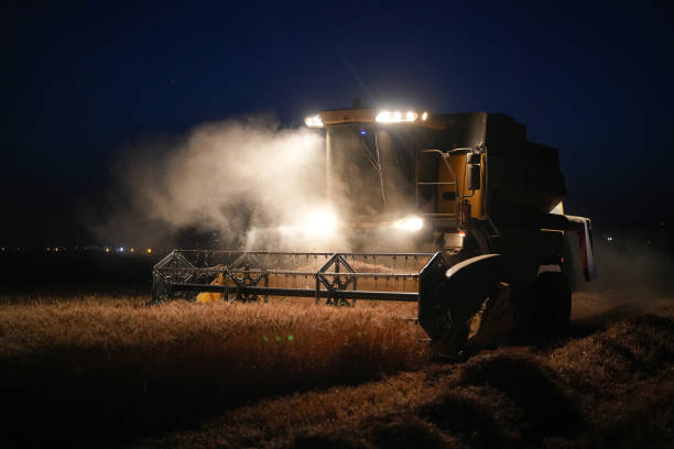 istock Combine harvester harvesting in a wheat field at night. threshing time 1572774167