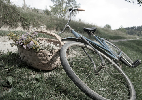 Bike with some herbals gathered