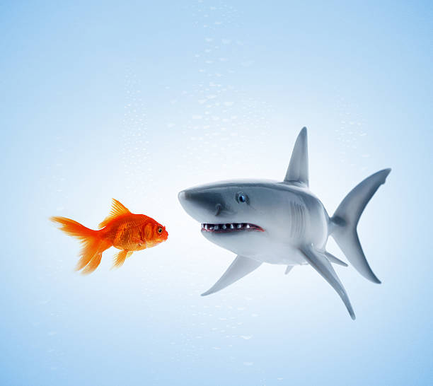 istock what a wonderful world 157278323