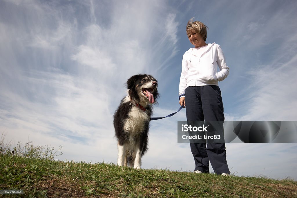 Frau mit border-collie Zunge heraus - Lizenzfrei Blau Stock-Foto