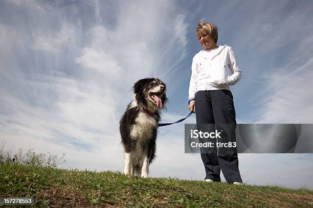 Frau Mit Bordercollie Zunge Heraus Stockfoto und mehr Bilder von Blau - Blau, Border-Collie, Cumulus