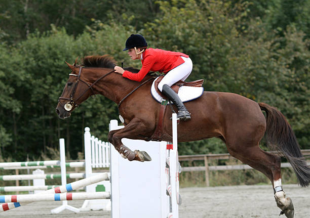 Horse jumping competition show with rider in red Girl partecipating in a show jumping competition in Norway equestrian show jumping stock pictures, royalty-free photos & images